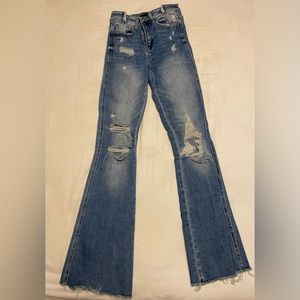 Flying Monkey Sz 24 Ripped Denim Jean